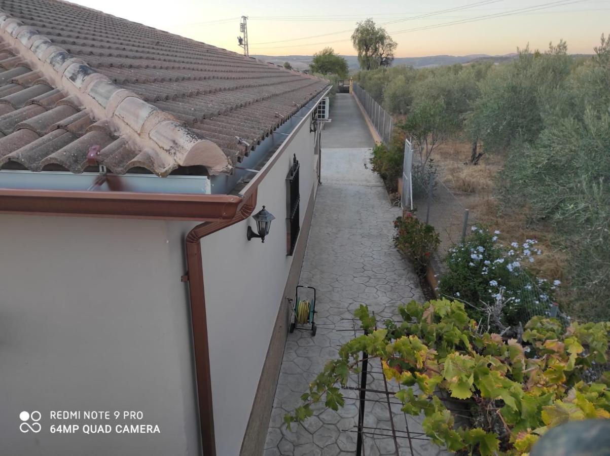 Los Abuelos Setenil De Las Bodegas Exterior foto