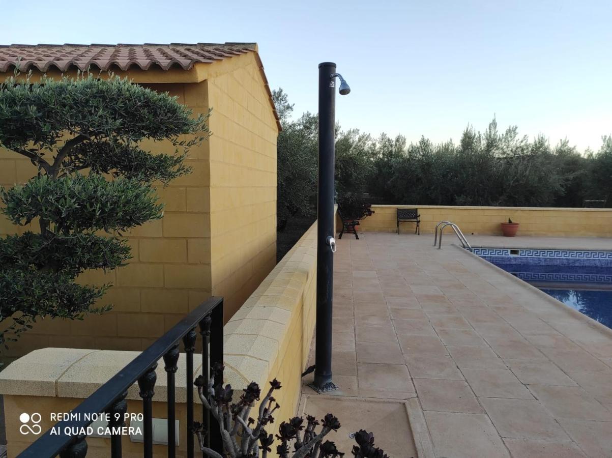 Los Abuelos Setenil De Las Bodegas Exterior foto